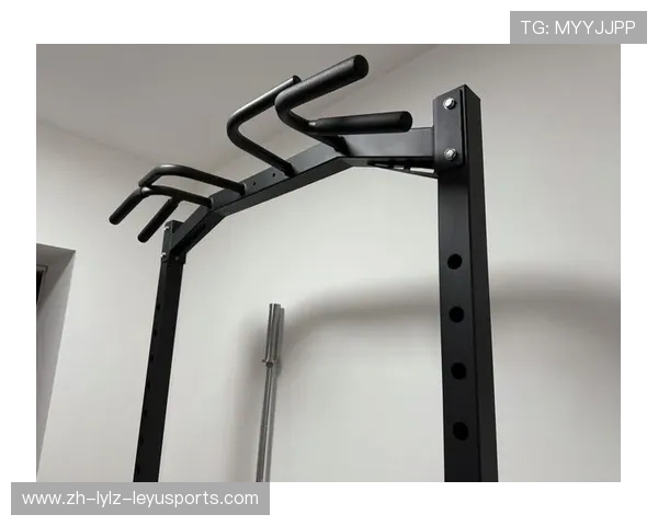 适合家用的健身器材排行榜与使用建议